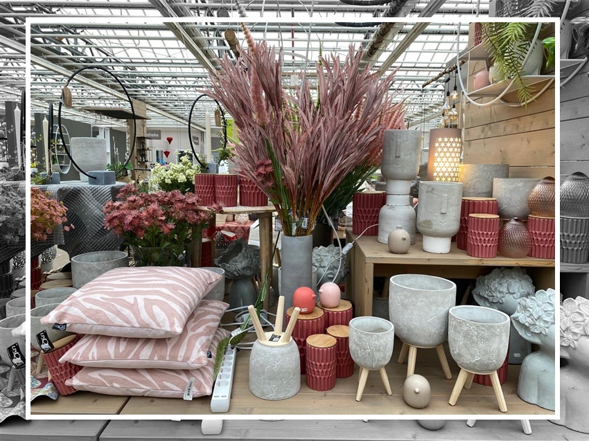 Bintig Ihr Gartencenter in Hamm