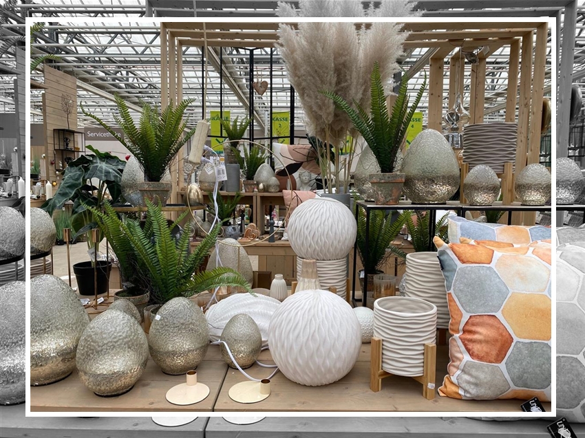 Bintig Ihr Gartencenter in Hamm