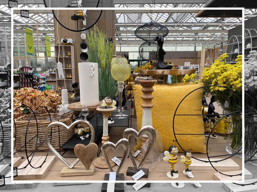 Blumen Bintig Hamm Heessen