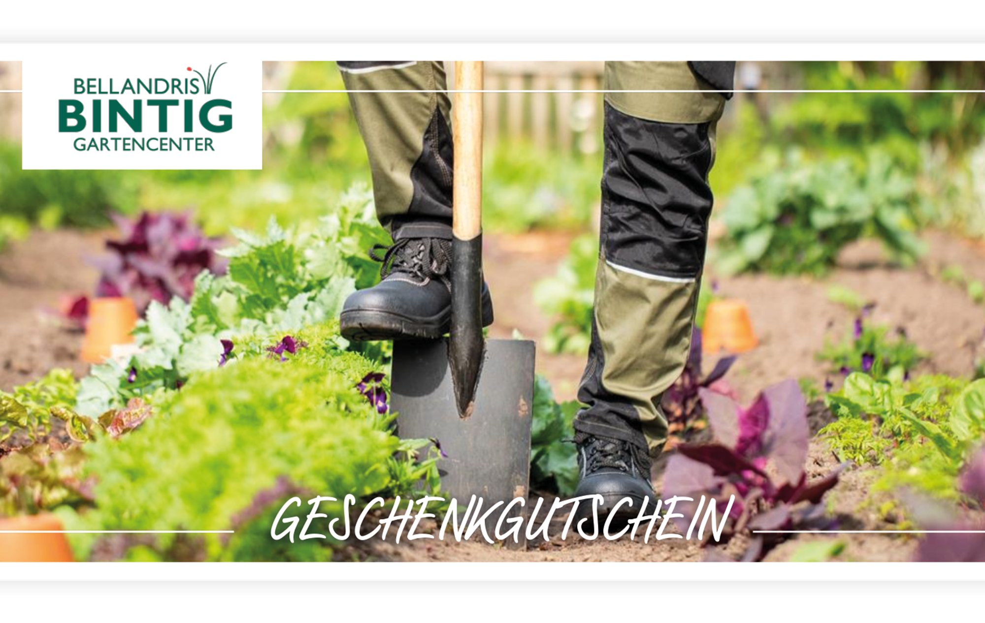 Unbenannt-1_0007_Gutschein+Gartenarbeit,+Gutschein+A4,+DIN+Lang.png