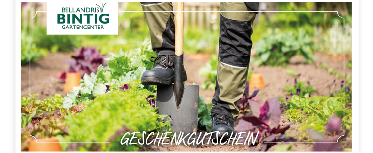 Unbenannt-1_0007_Gutschein+Gartenarbeit,+Gutschein+A4,+DIN+Lang.png