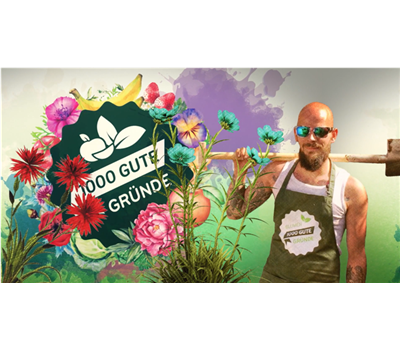 Amaryllis, oder was ihr zum Ritterstern wissen müsst