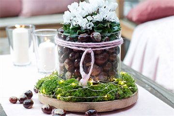 Herbstdeko mit Kastanien