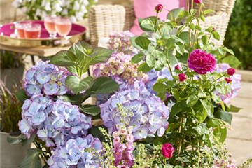 Terrasse & Balkon im Juni