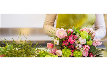 Blütenwunder Christrose