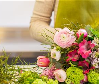 Blütenwunder Christrose