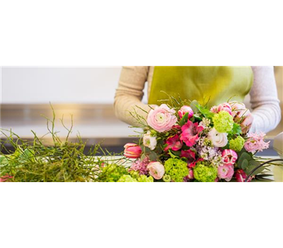 Blütenwunder Christrose