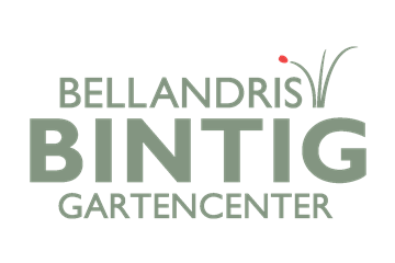 Allgemeine Gartenarbeit im Januar