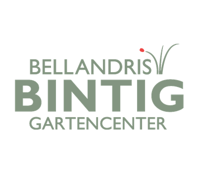 Allgemeine Gartenarbeit im Januar