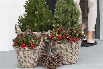 Terrasse & Balkon im Januar