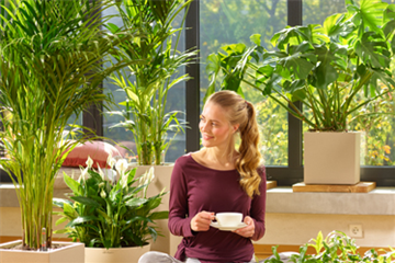 Luftverbesserer: Einfach tief durchatmen!