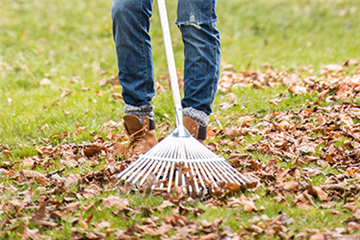 Allgemeine Gartenarbeit im Juli