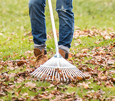 Allgemeine Gartenarbeit im Juli