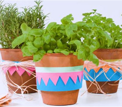 Fröhlich dekorierte Kräutertöpfe