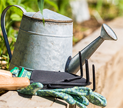Allgemeine Gartenarbeit im August