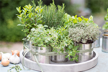 Grillen mit frischen Kräutern