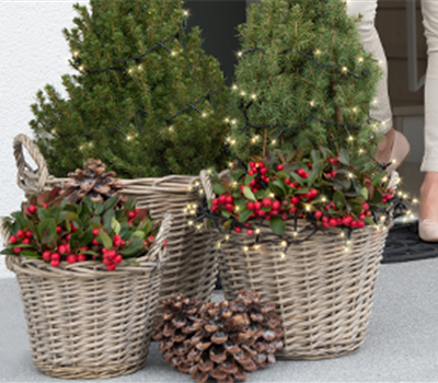 Terrasse & Balkon im Dezember