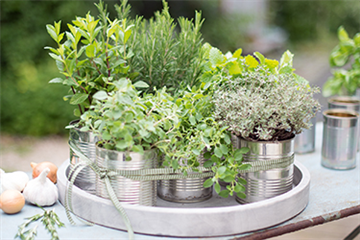 Gemüse-, Kräuter- und Obstgarten im April