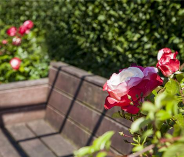 Terrasse & Balkon im März