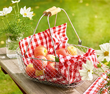 Gemüse-, Kräuter- und Obstgarten im September