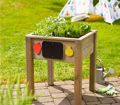 Pflanztipps im Hochbeet