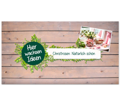Christrosen natürlich dekoriert