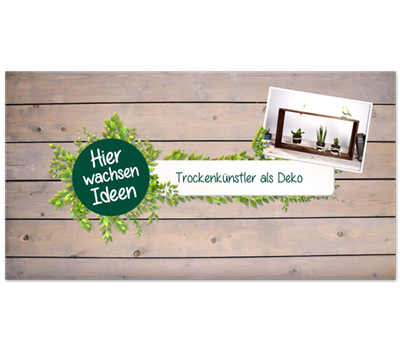 DIY Deko mit Sukkulenten & Kakteen