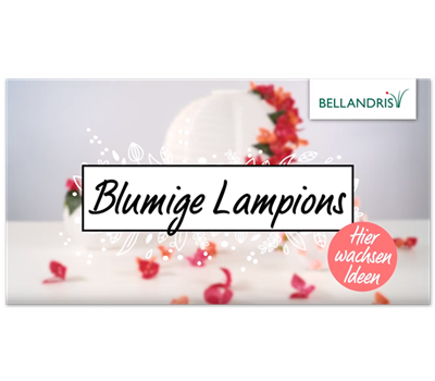 Blumige Lampions für die Gartenparty