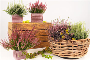 DIY Herbstlicher Korb