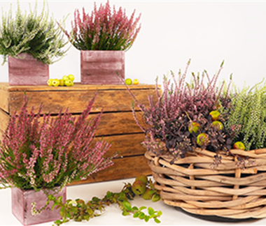 DIY Herbstlicher Korb