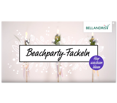 Beachparty-Fackeln
