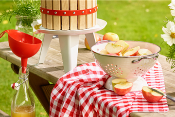 Jetzt wird geerntet!