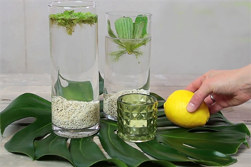 Erfrischende Wasserdeko