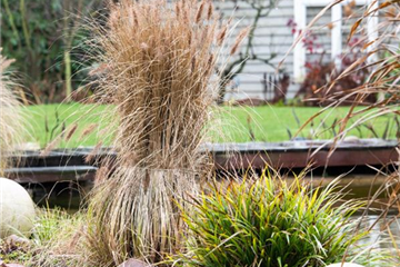 Gut verpackt in frostigen Zeiten