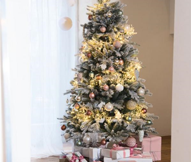 Oh Tannenbaum: Finde den Richtigen