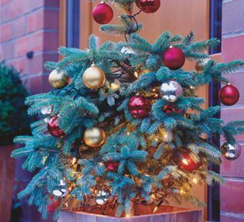 Traumhafte Last-Minute-Geschenke