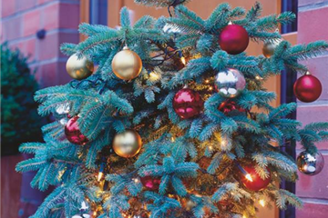 Traumhafte Last-Minute-Geschenke