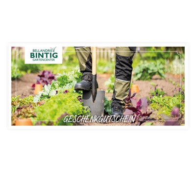 Individueller Gutschein Individueller Gutschein